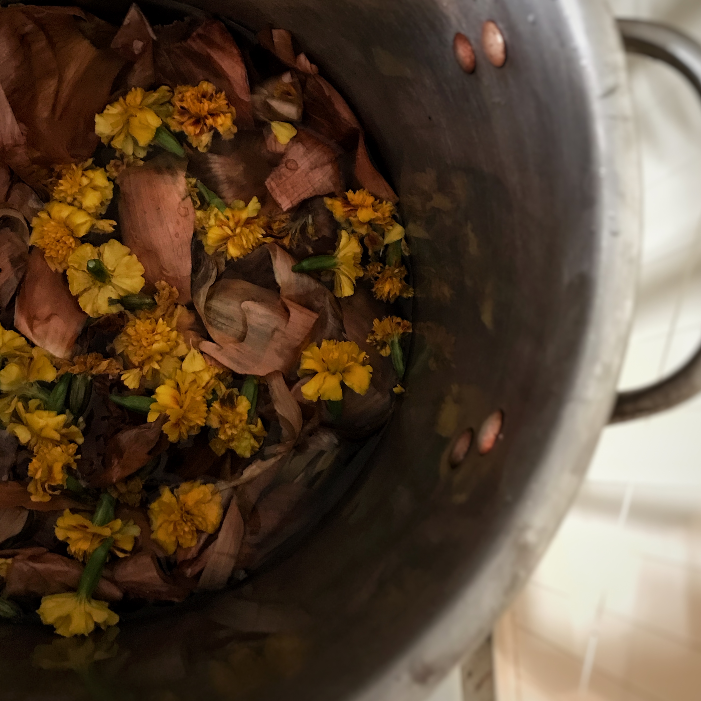 dye pot full of yellow marigold flowers and onion skins