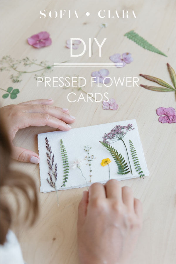 DIY Pressed Flower Cards - Kid Craft