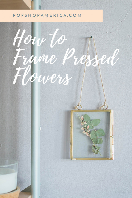 How to Frame Pressed Flowers 