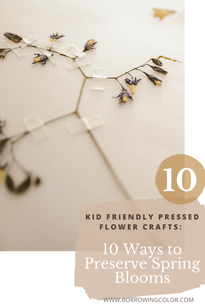 Kid Friendly Pressed Flower Crafts: 10 Ways to Preserve Spring Blooms